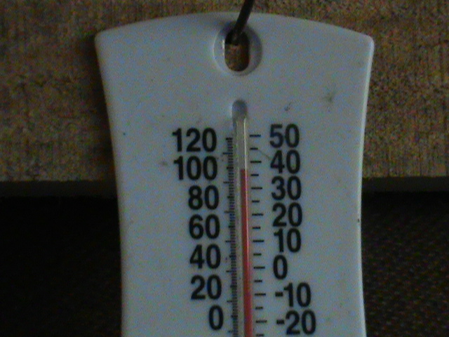DSC00539.JPG