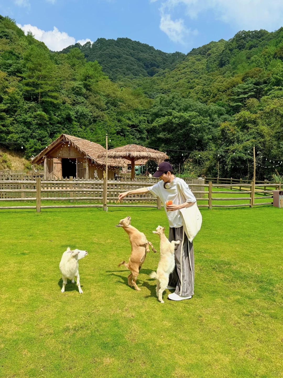 我宣布,这是福建最值得去的森林牧场~_2_tzu-hsiao_来自小红书网页版.jpg