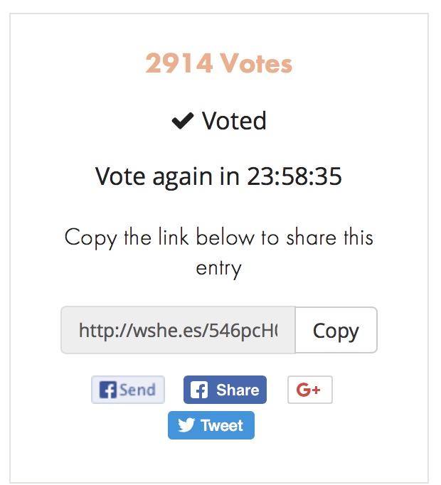 vote.jpeg
