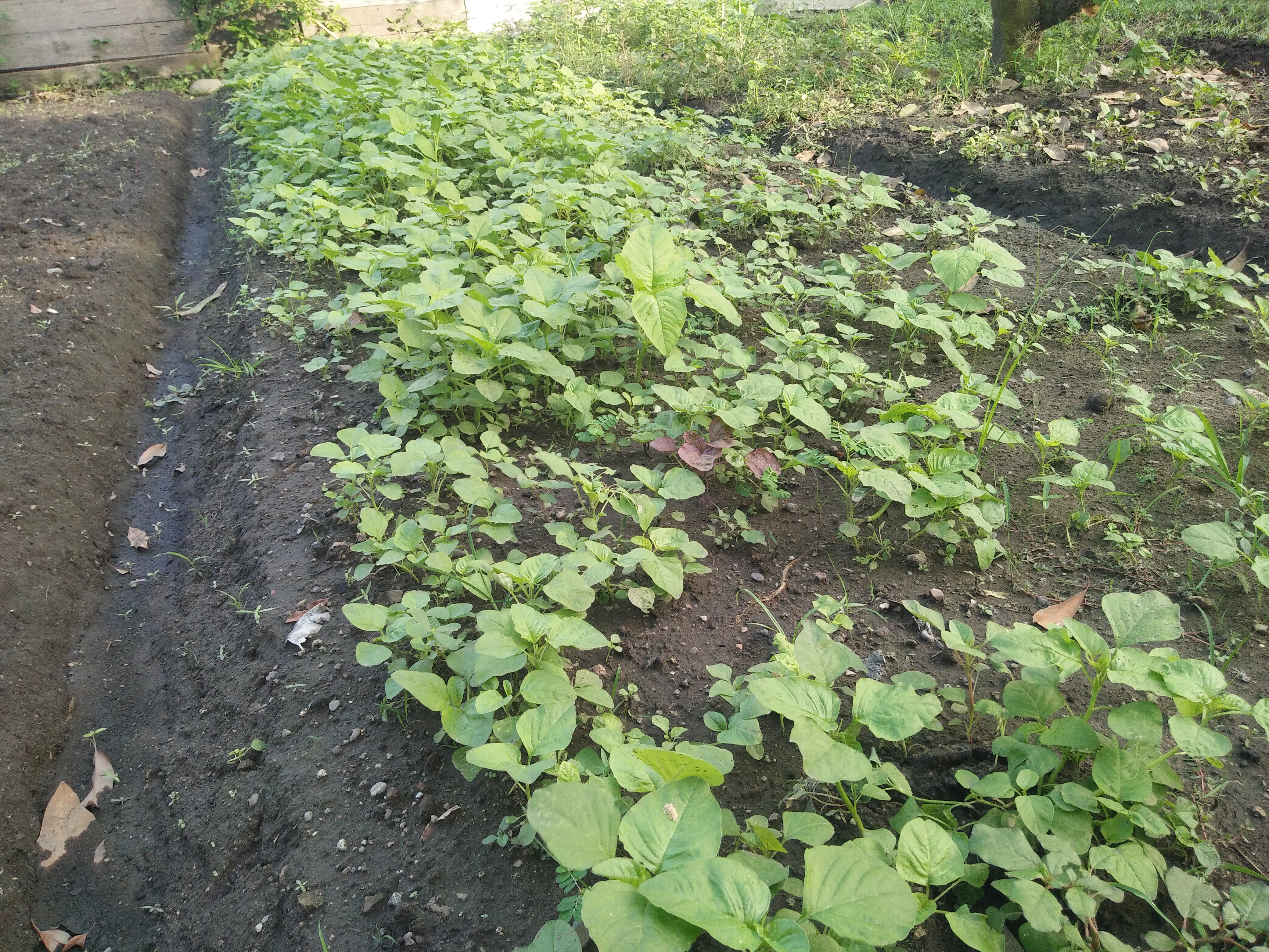 IMG20191204165709.jpg