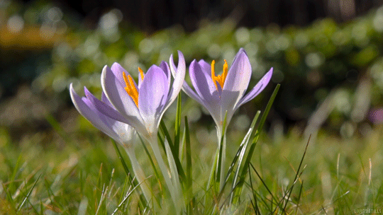 yukd (3).gif