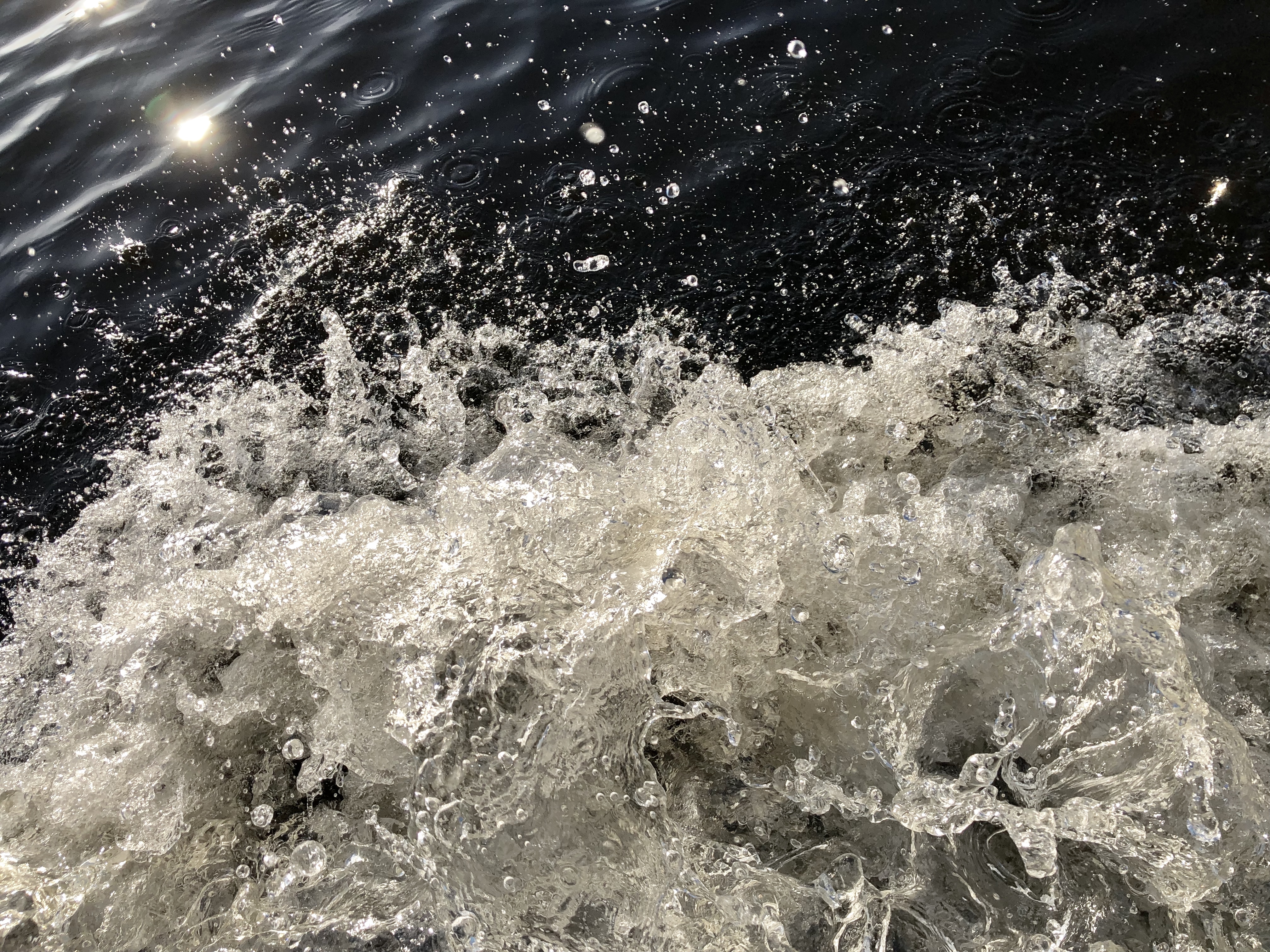 88AAEBD3-D533-4273-BD98-F3629A384F21.jpeg