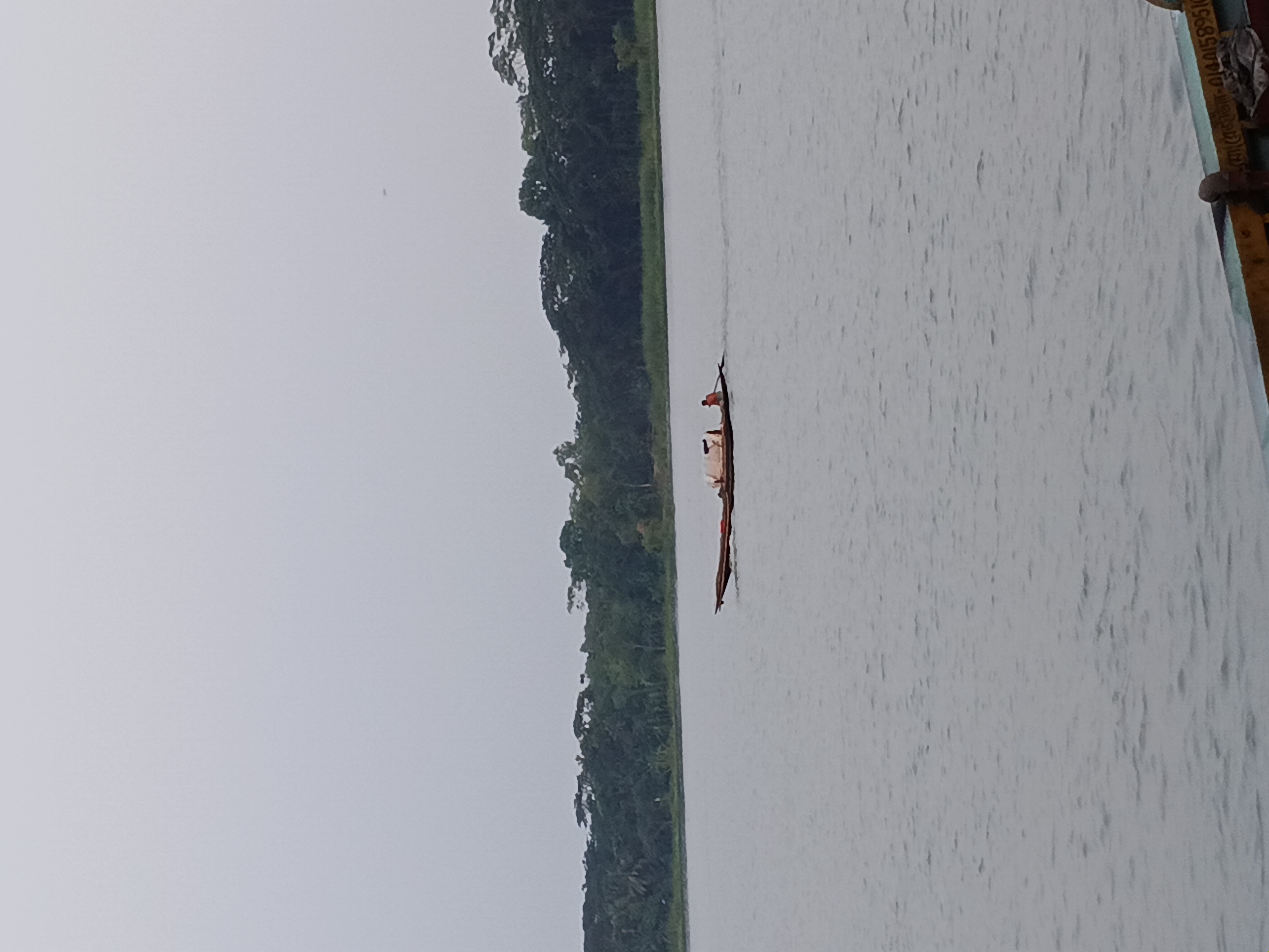 41747.jpg