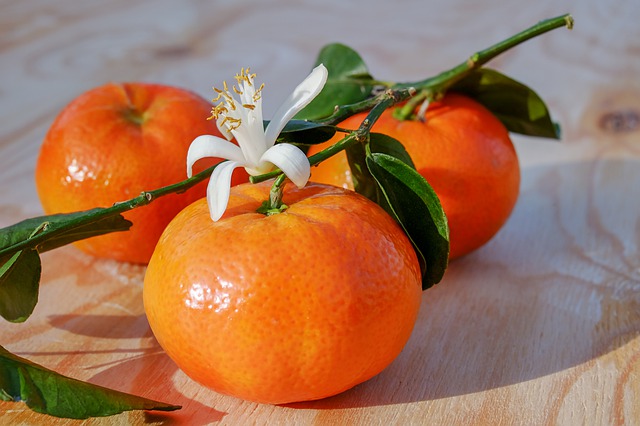 tangerines-3114765_640 (1).jpg