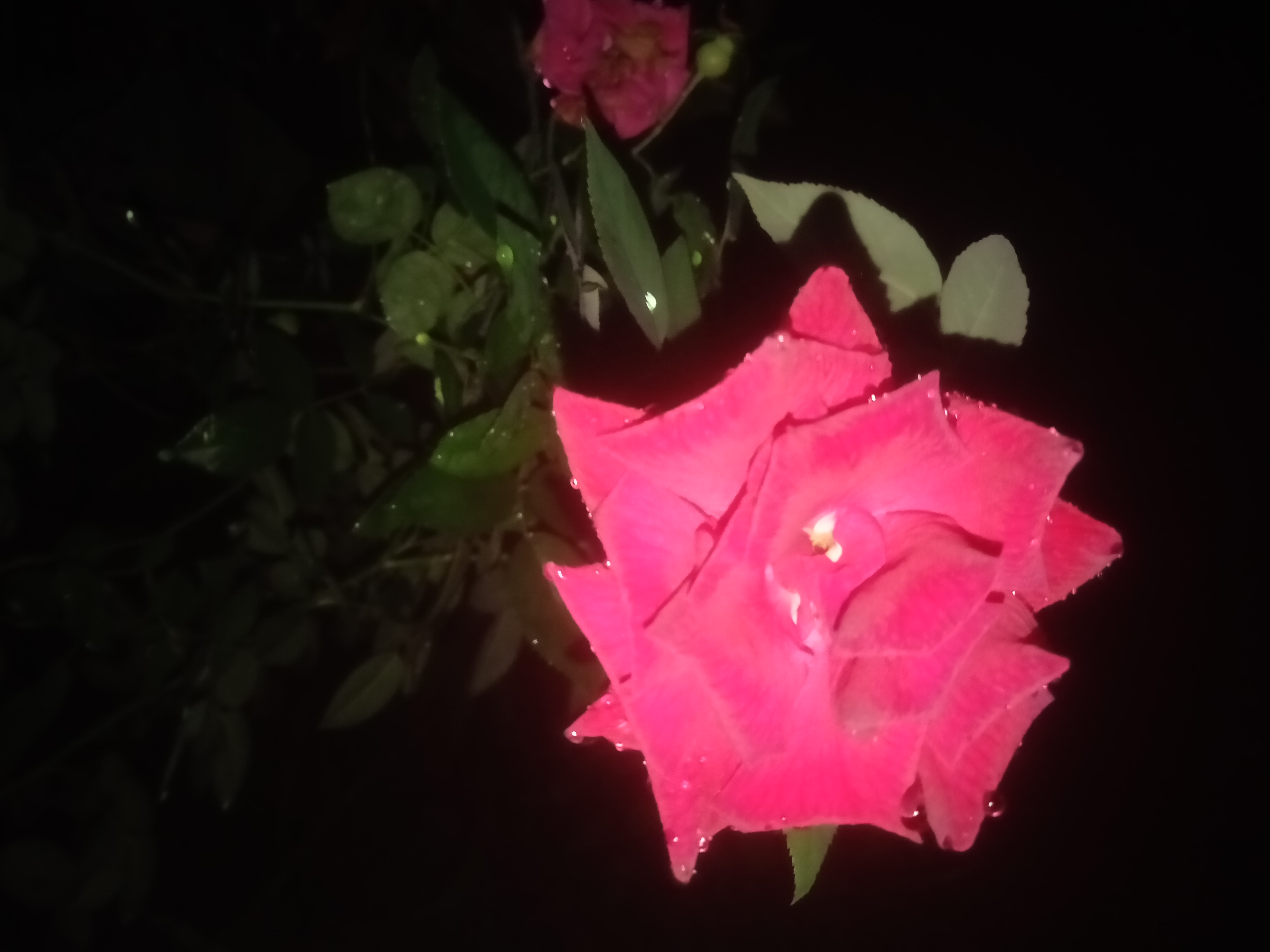 IMG20210626200346.jpg