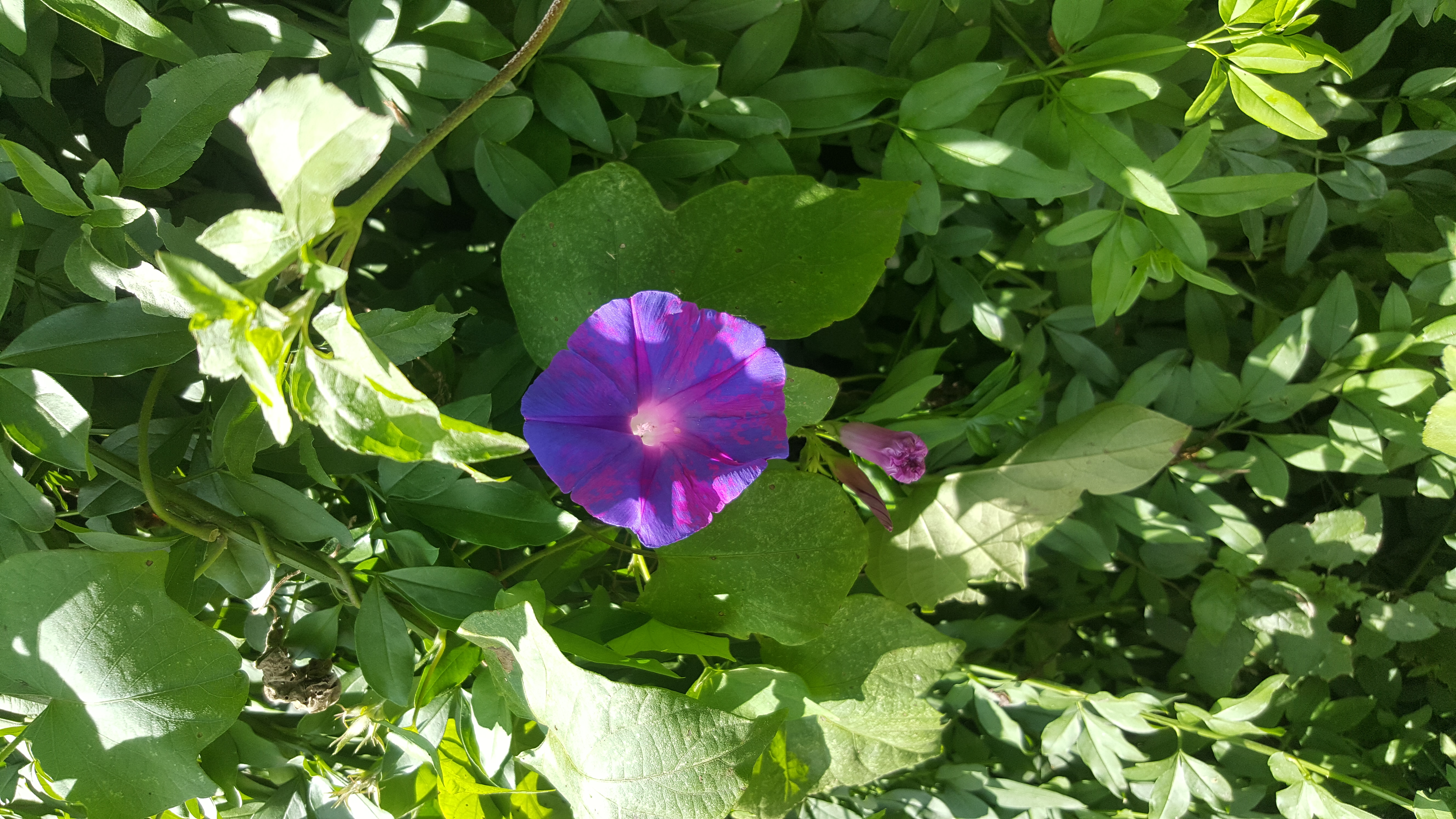 20190317_140052.jpg
