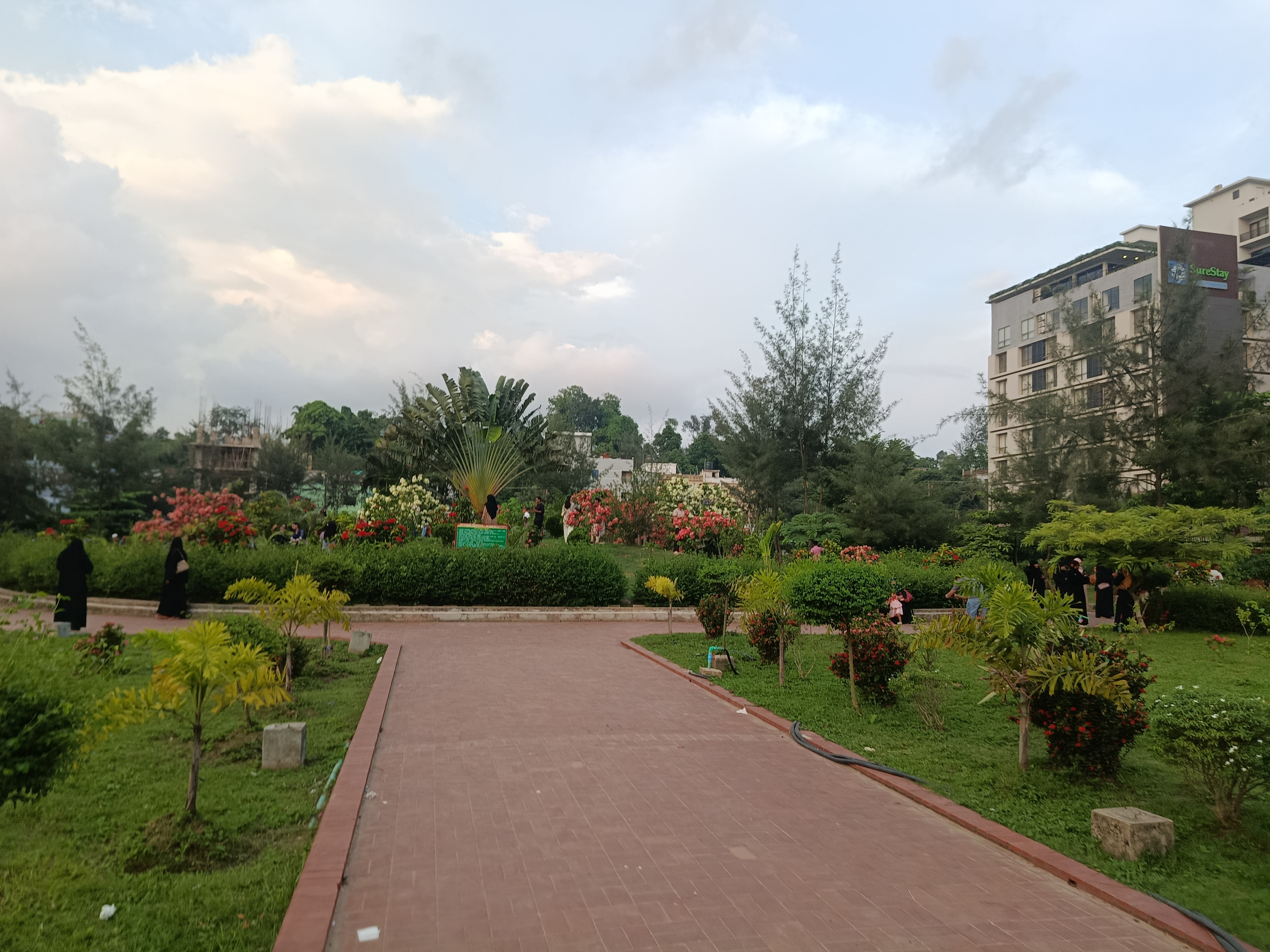 IMG_20260601_181025.jpg