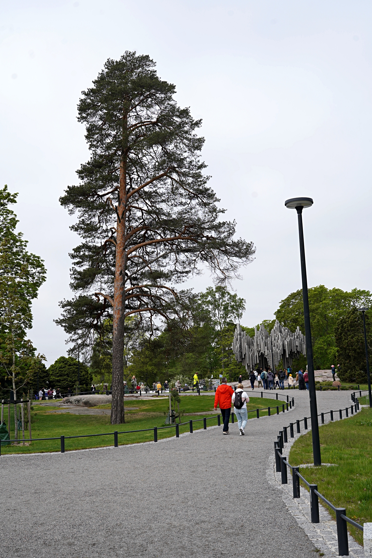 b-S260520-083515.jpg