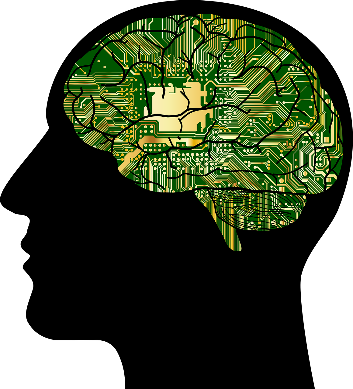 brain-8764404_1280.webp