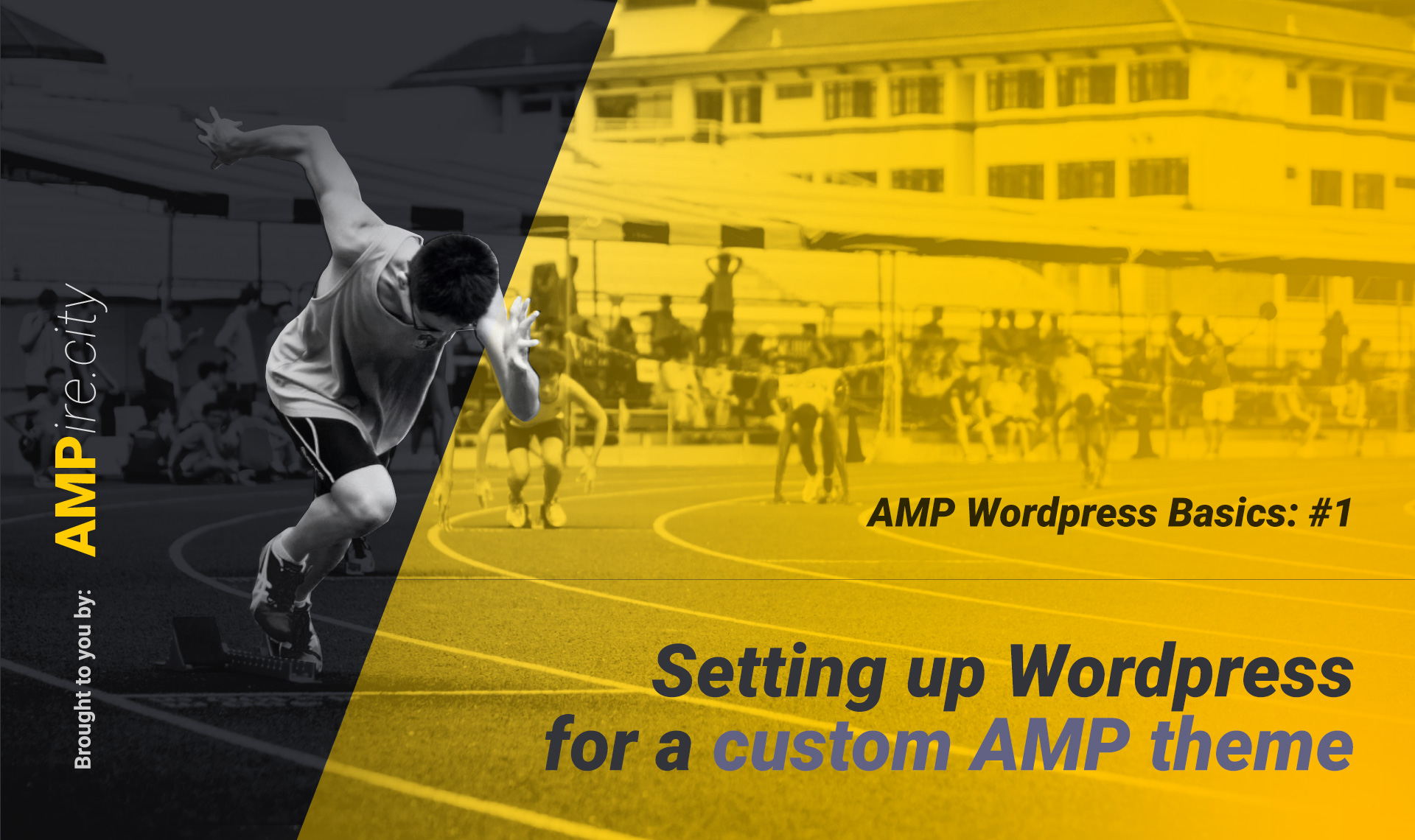 AMP WP Basics 1.jpg