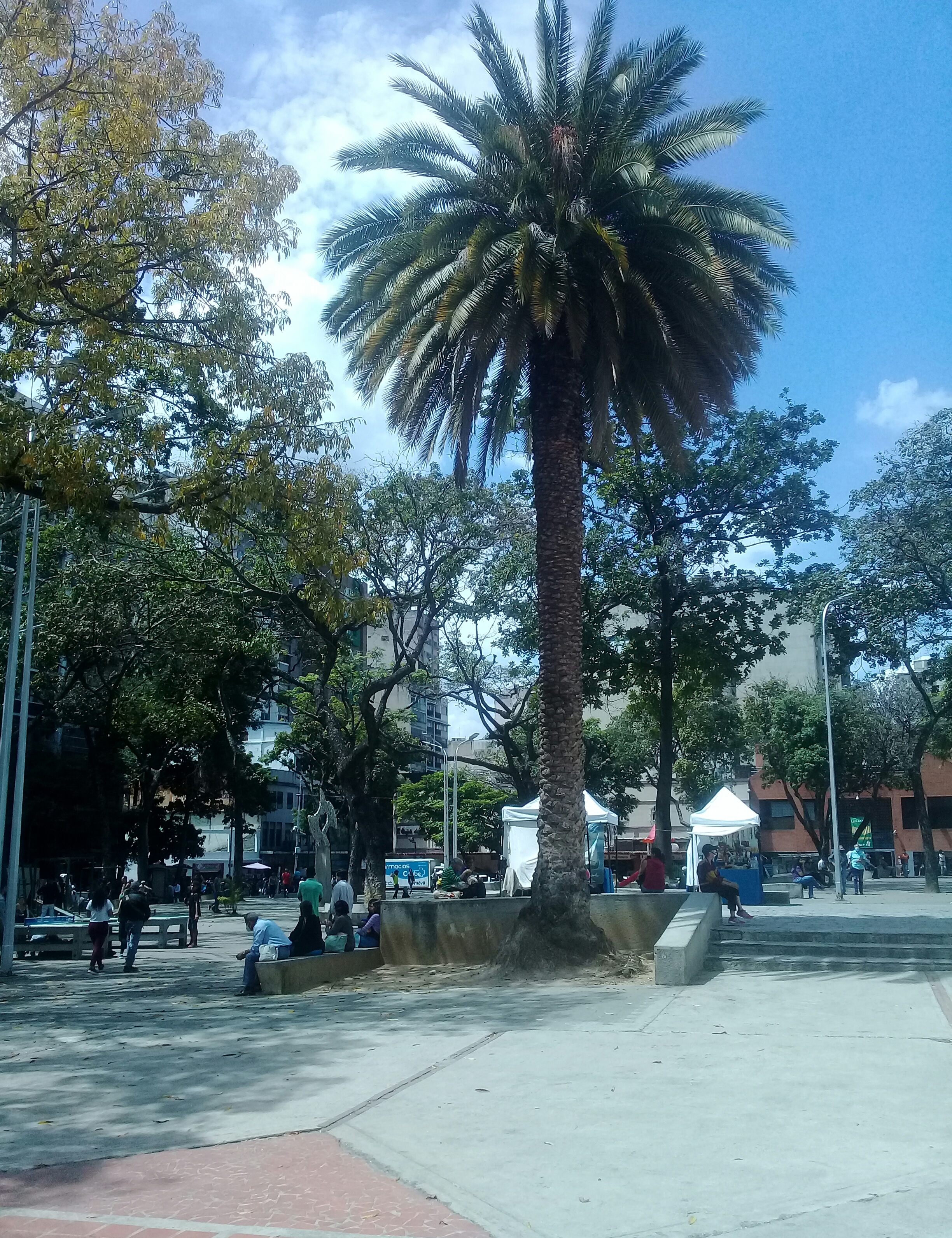 20210212_200453.jpg