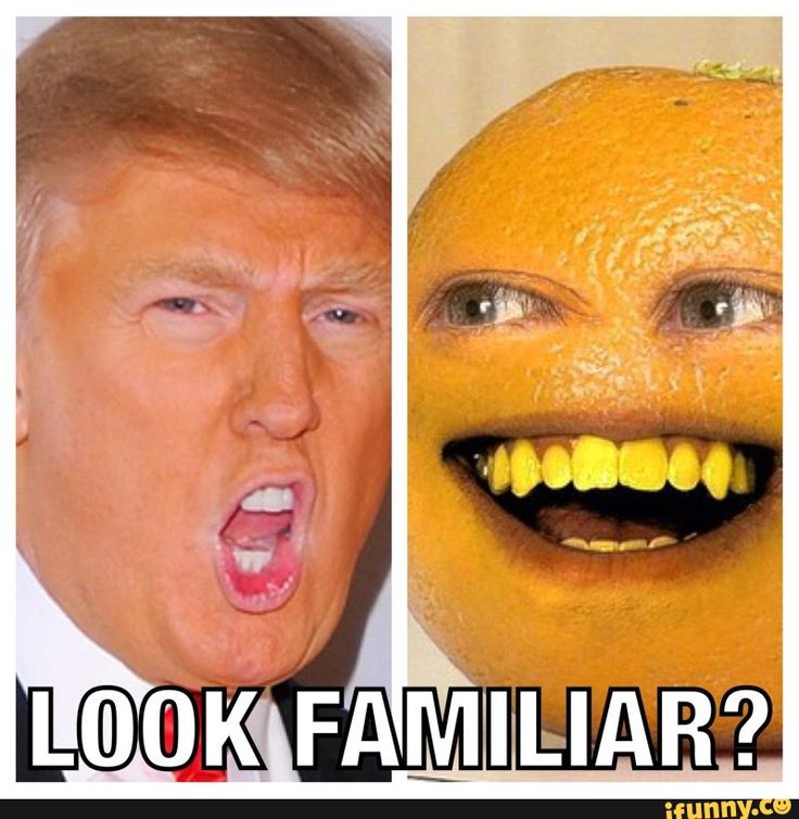trumpannoyingorange.jpg
