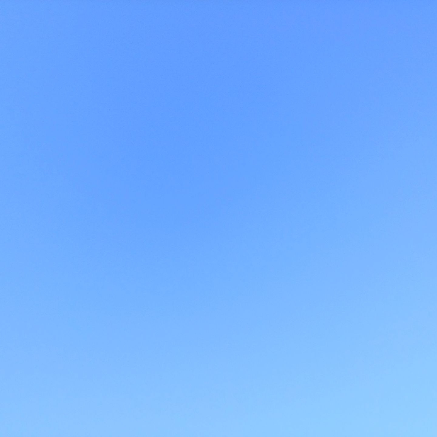FEA2BC7A-ECC9-4F68-8252-DC73EC62FD3F.jpeg