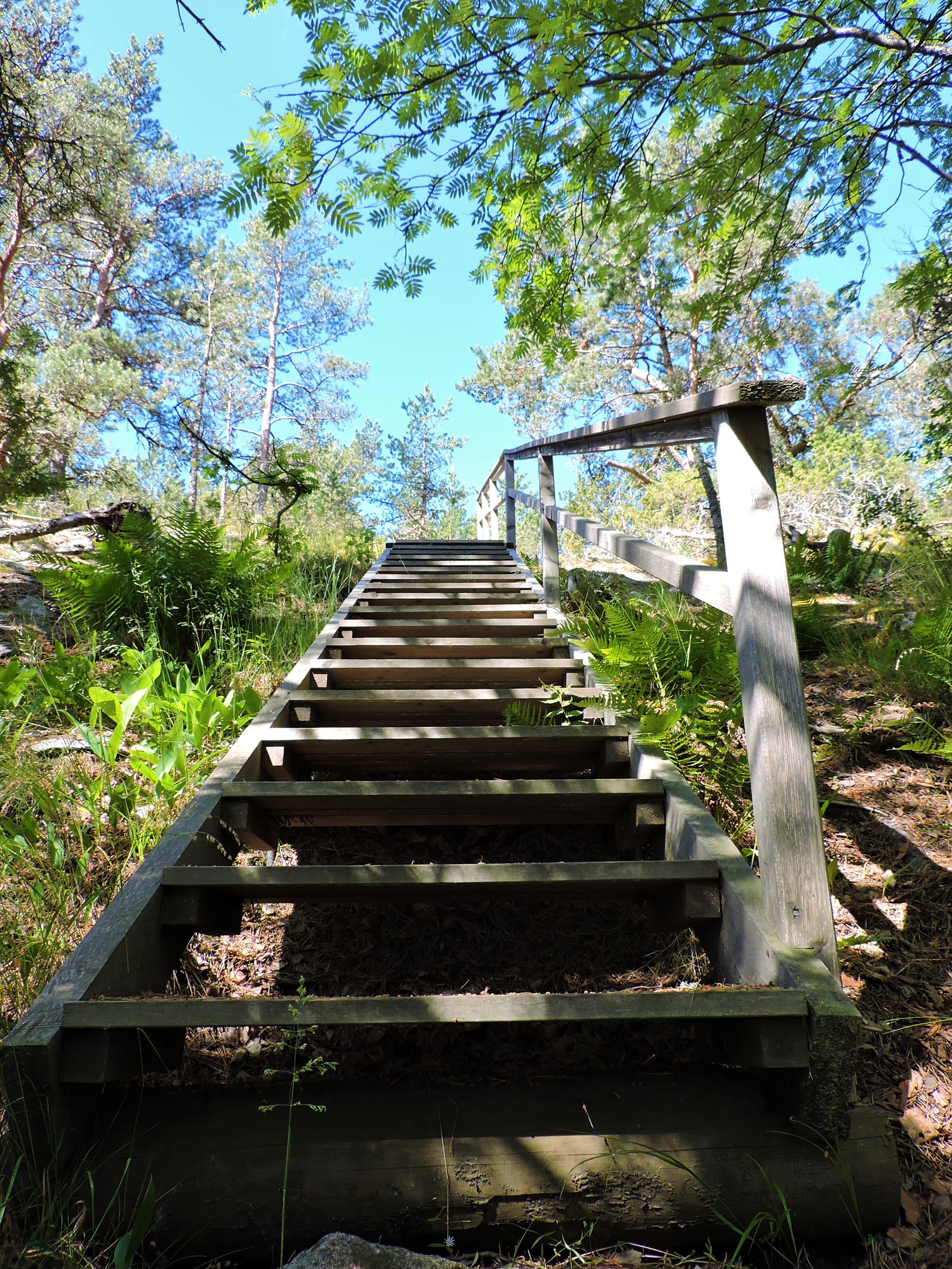 DSCN4973.JPG