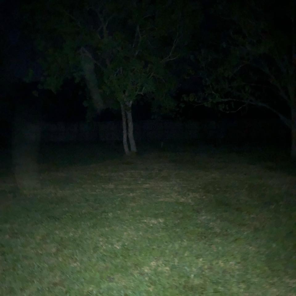 30706546_10213597860954560_6257264865729530234_n.jpg