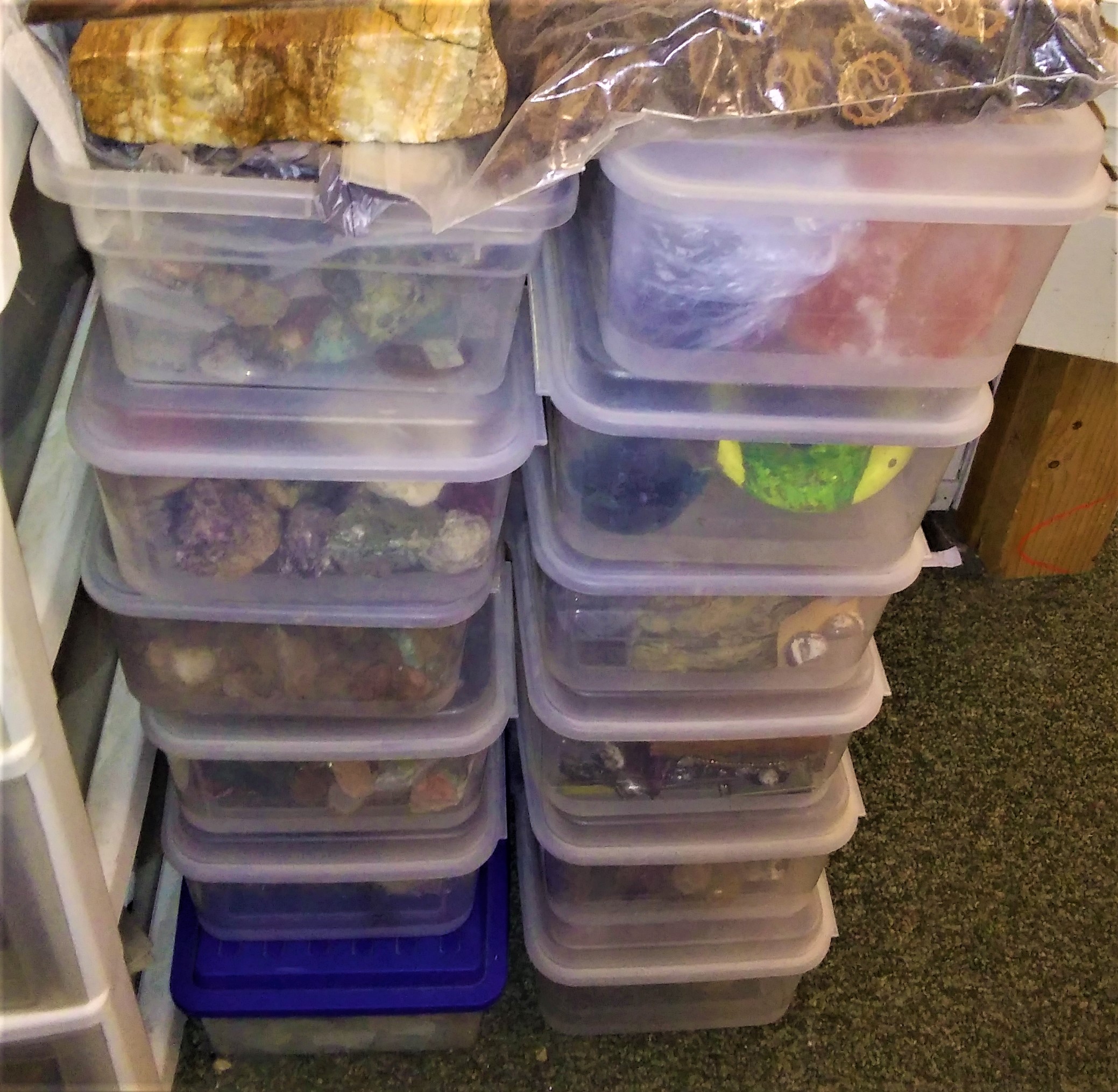 20191111_124351 (2).jpg