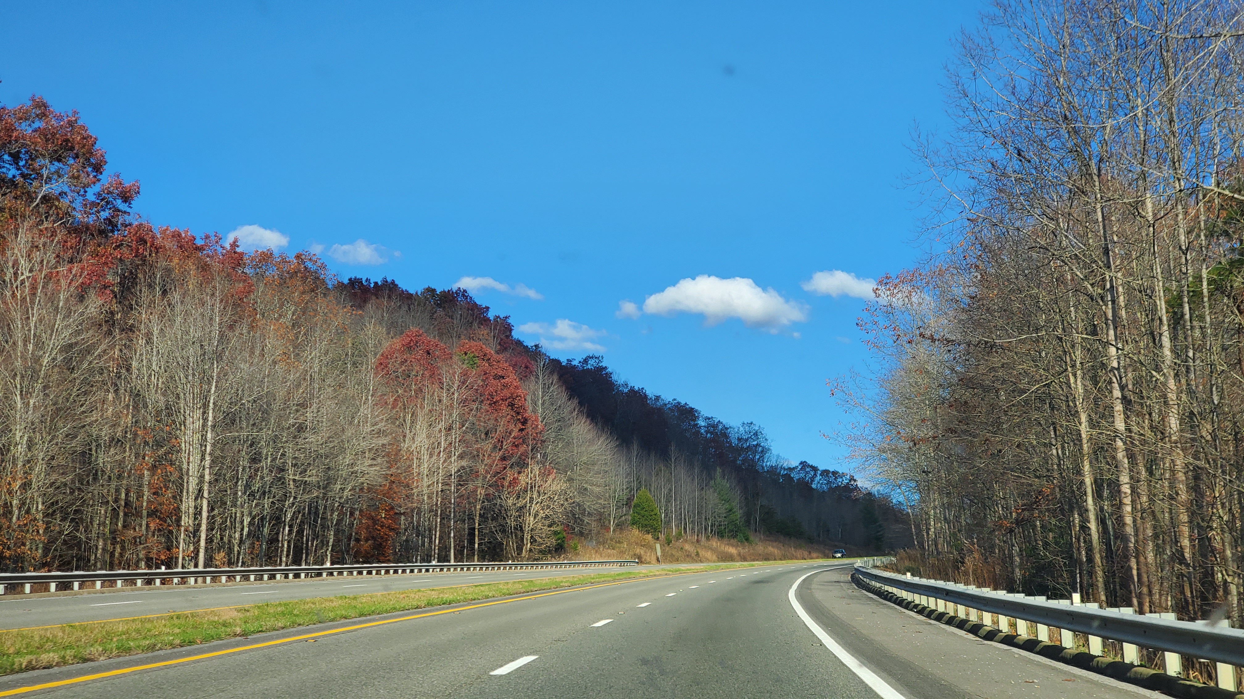 20201110_155629.jpg