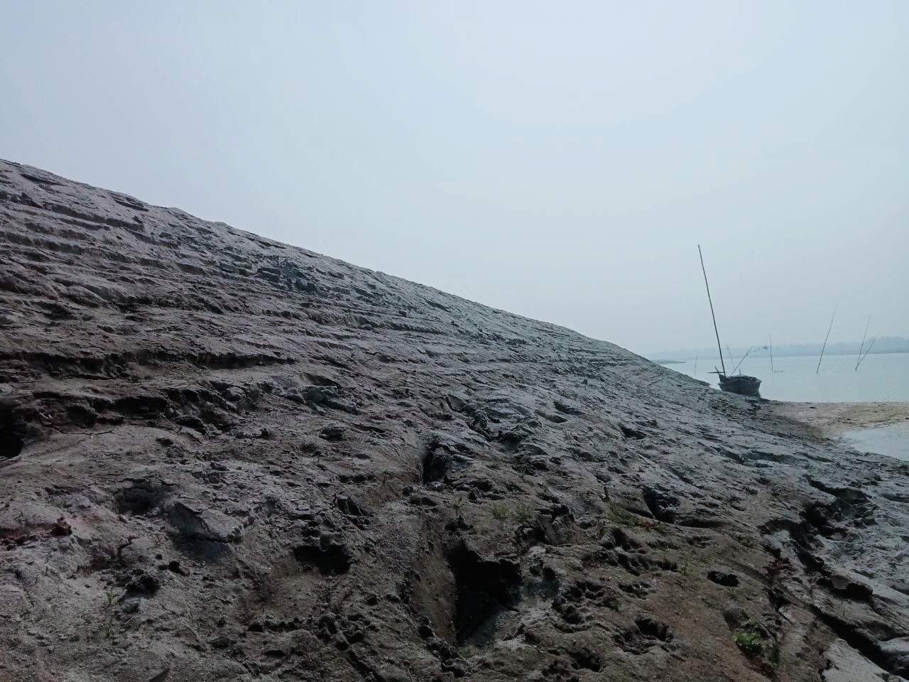 IMG_20260117_080615.jpg