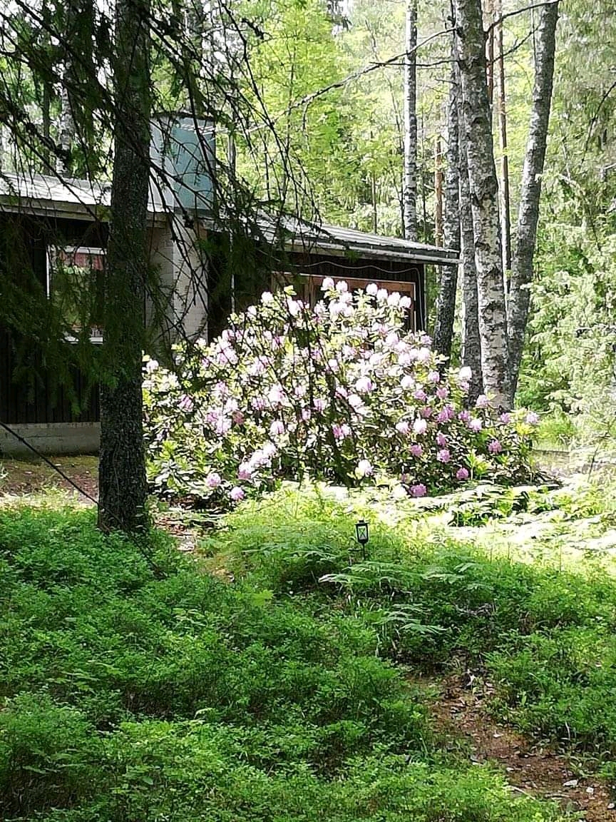 Finland in bloom