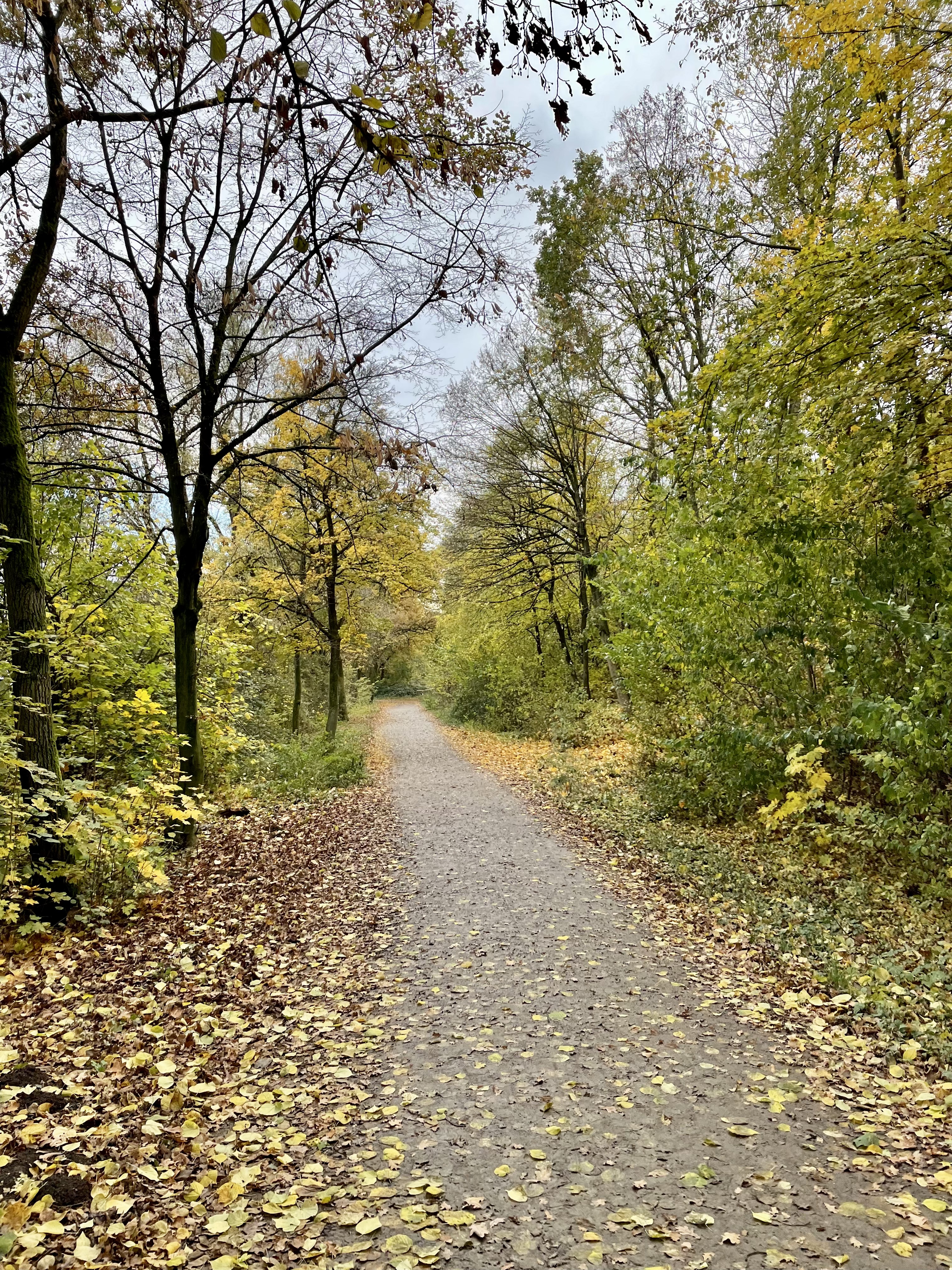 IMG_7344.jpeg