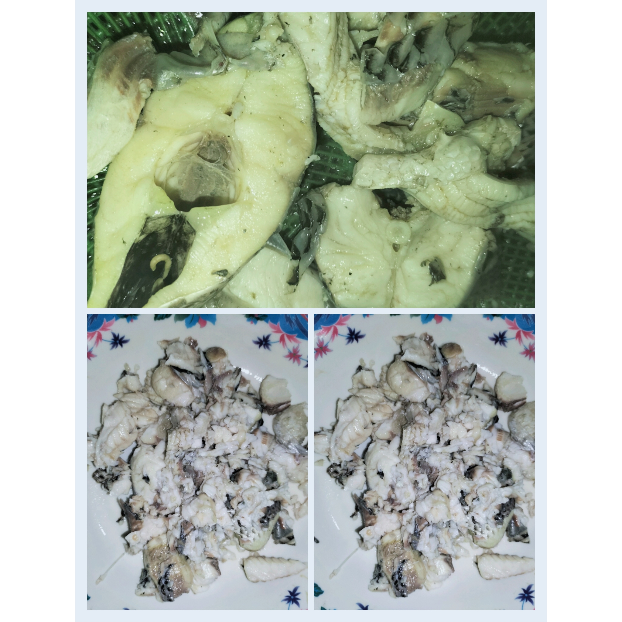 PhotoCollage_1723901024448.jpg