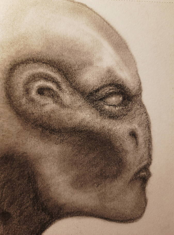 20260725_111456.jpg