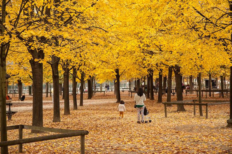 20151025-IMG_1166 copy.jpg