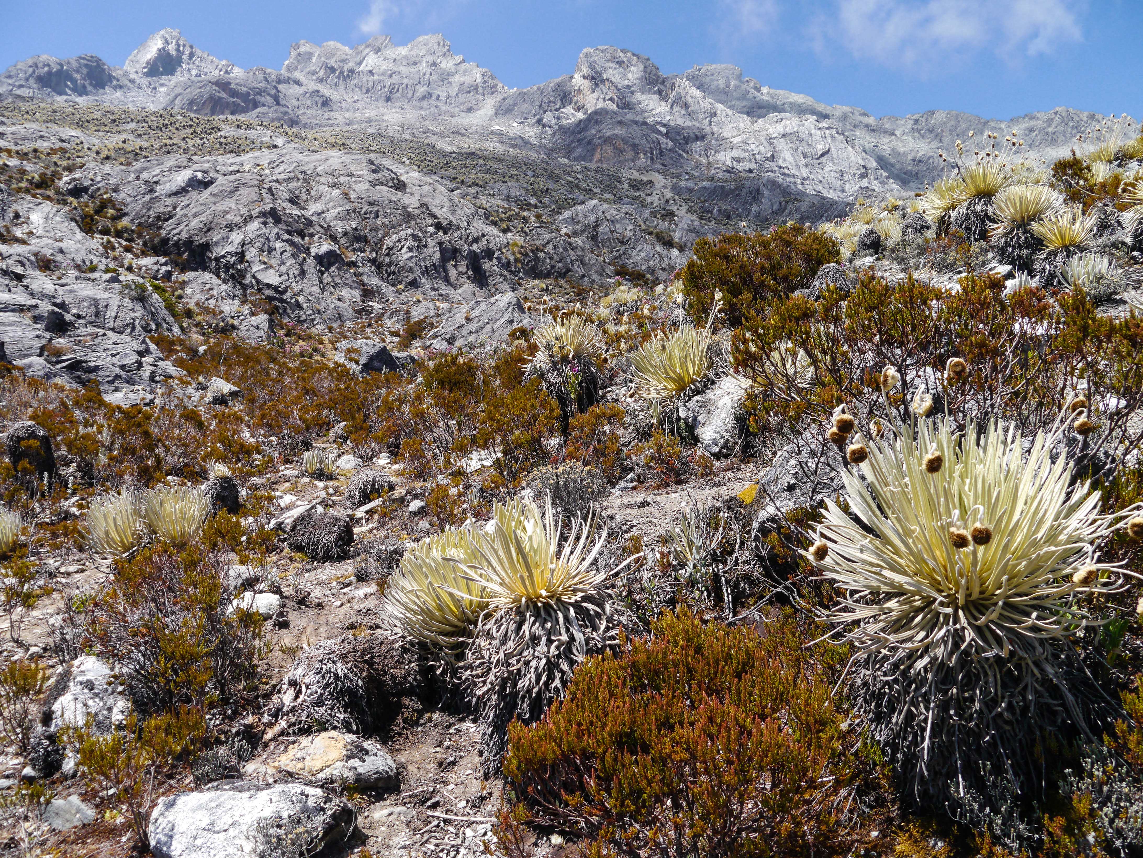 Pico_Bolìvar,_Venezuela_(12679474255).jpg