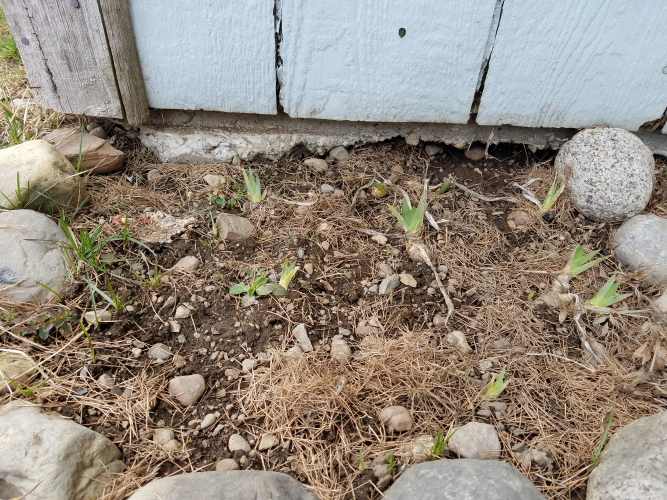 20190326_164937_4.jpg