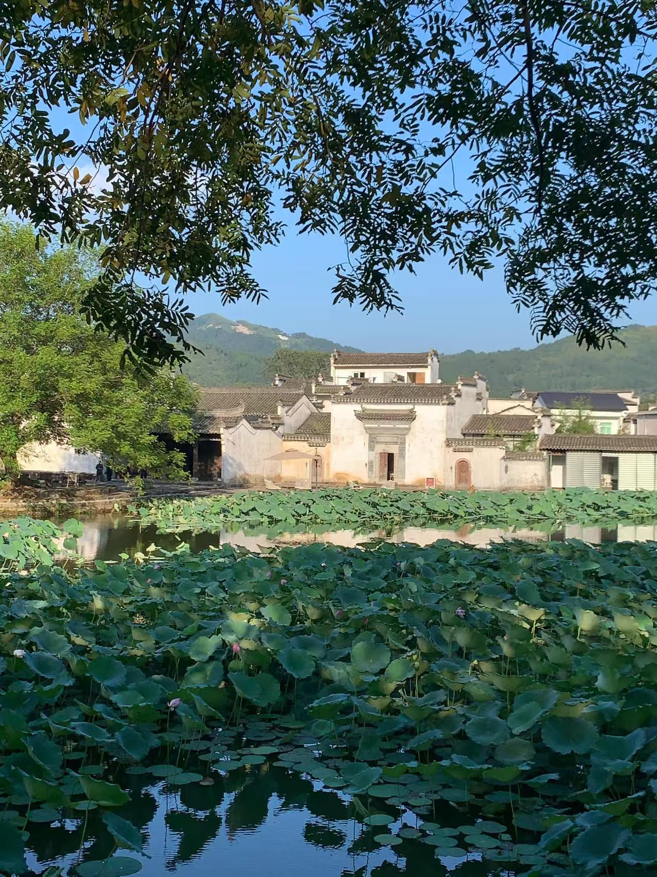 微信图片_20250408113443.jpg