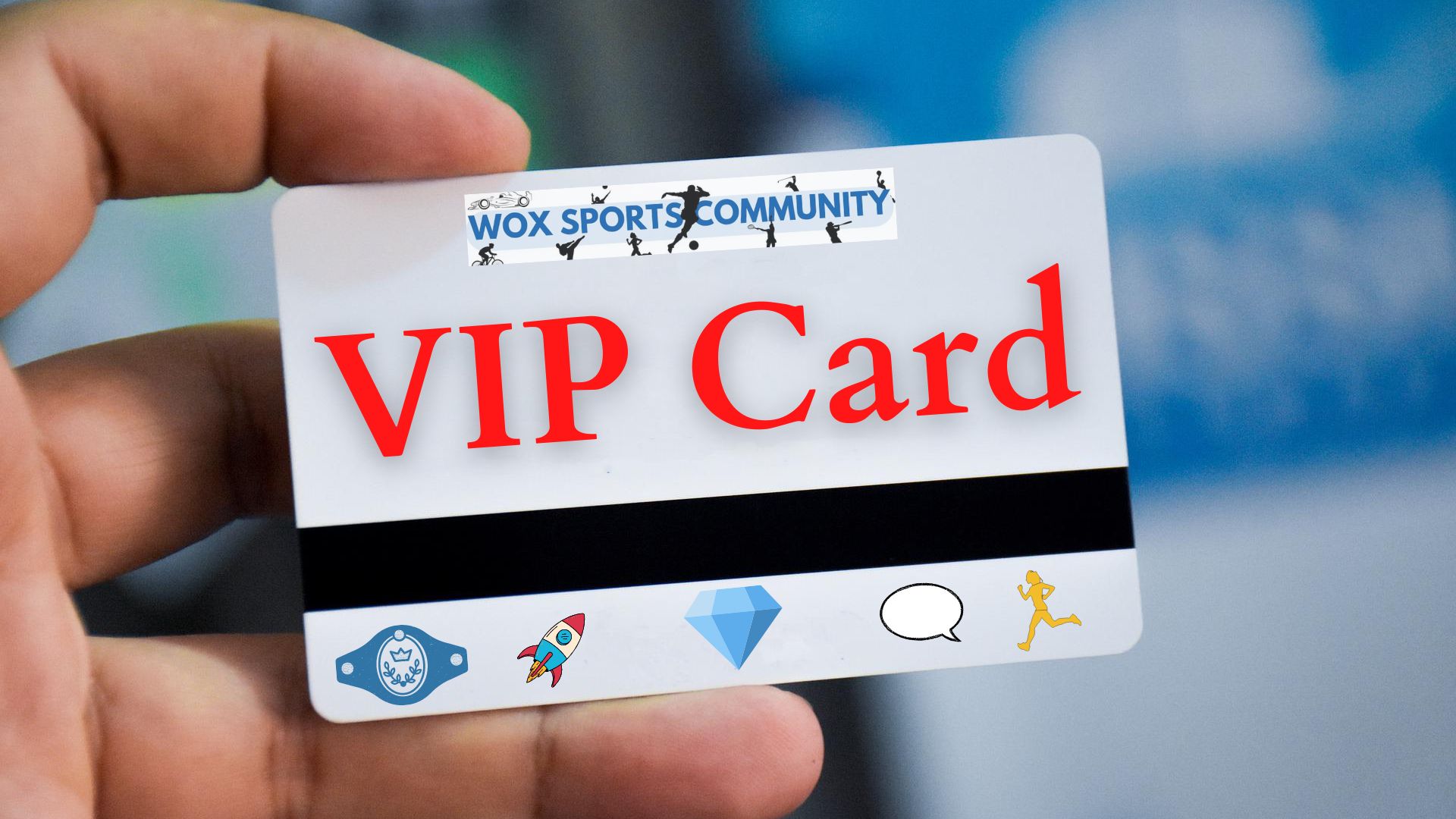 vip2.jpg