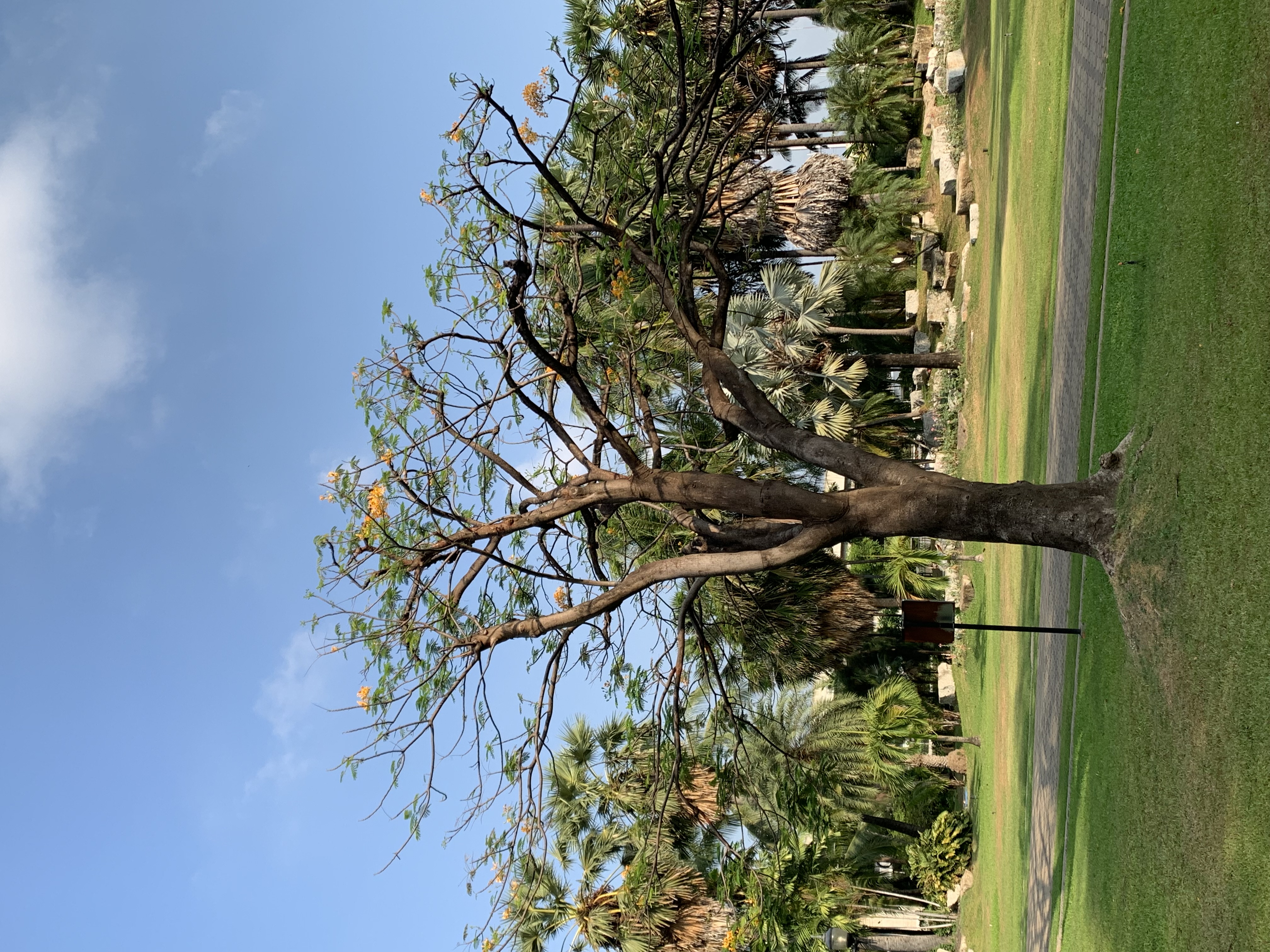 Stone Park6.jpg