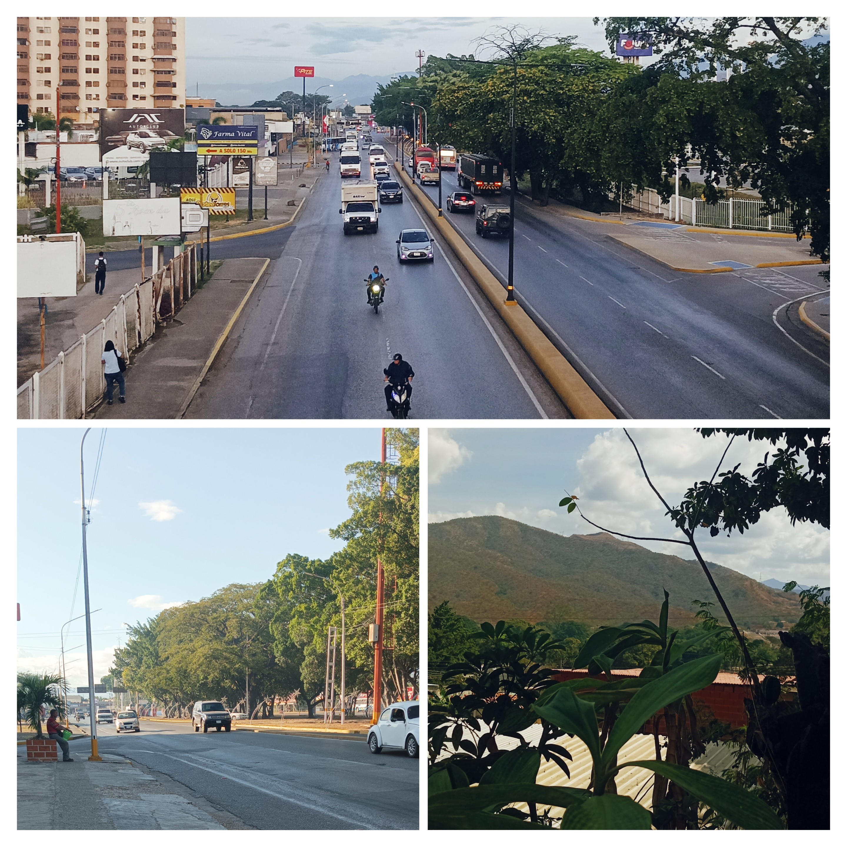 20260107_192119-COLLAGE.jpg