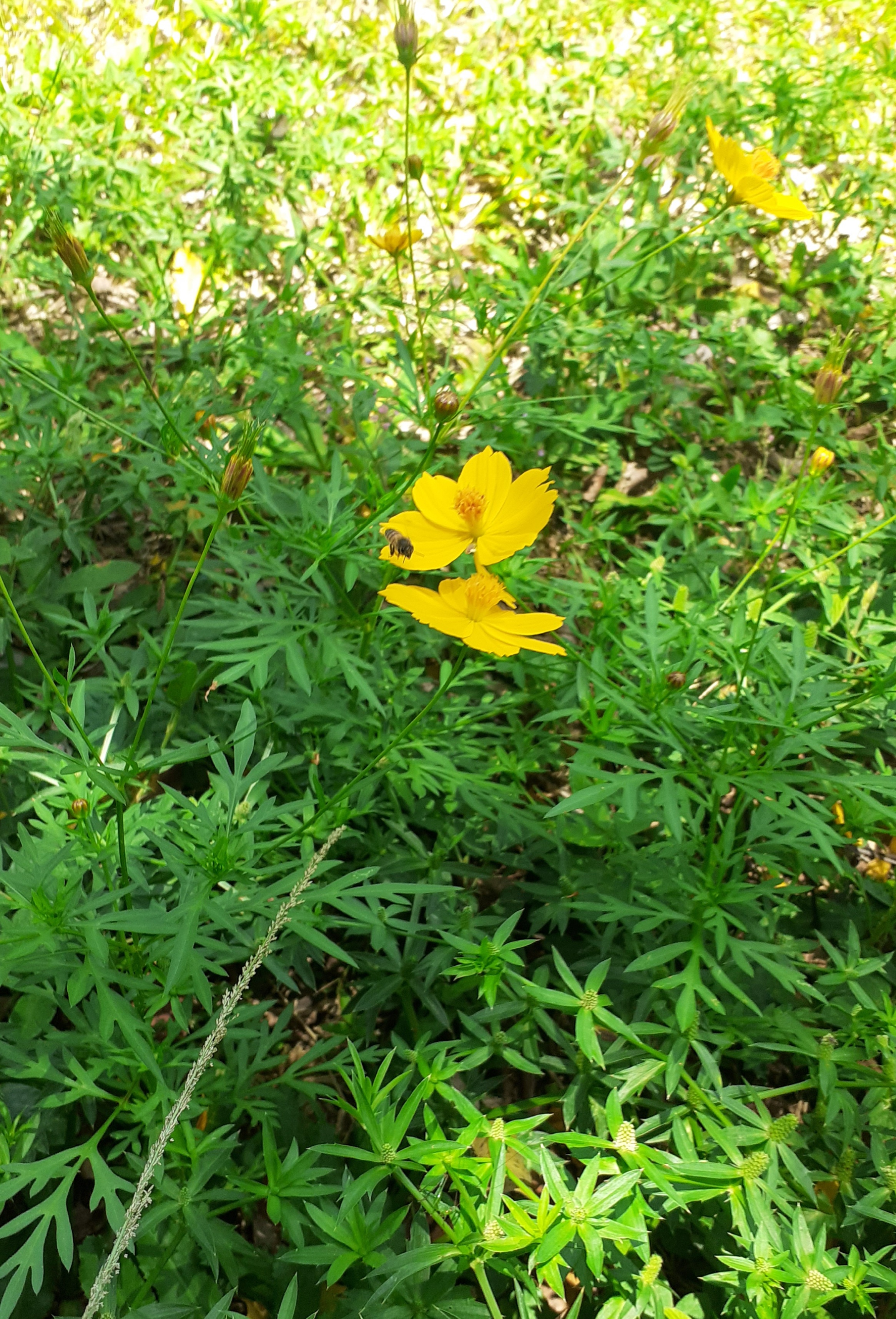 20210901_101750.jpg