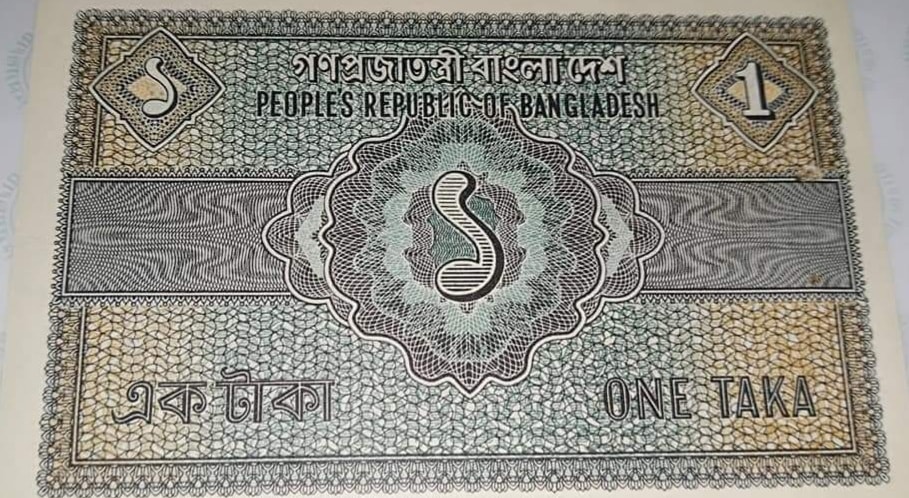 241810055_1560947290919836_3689872248537723275_n.jpg