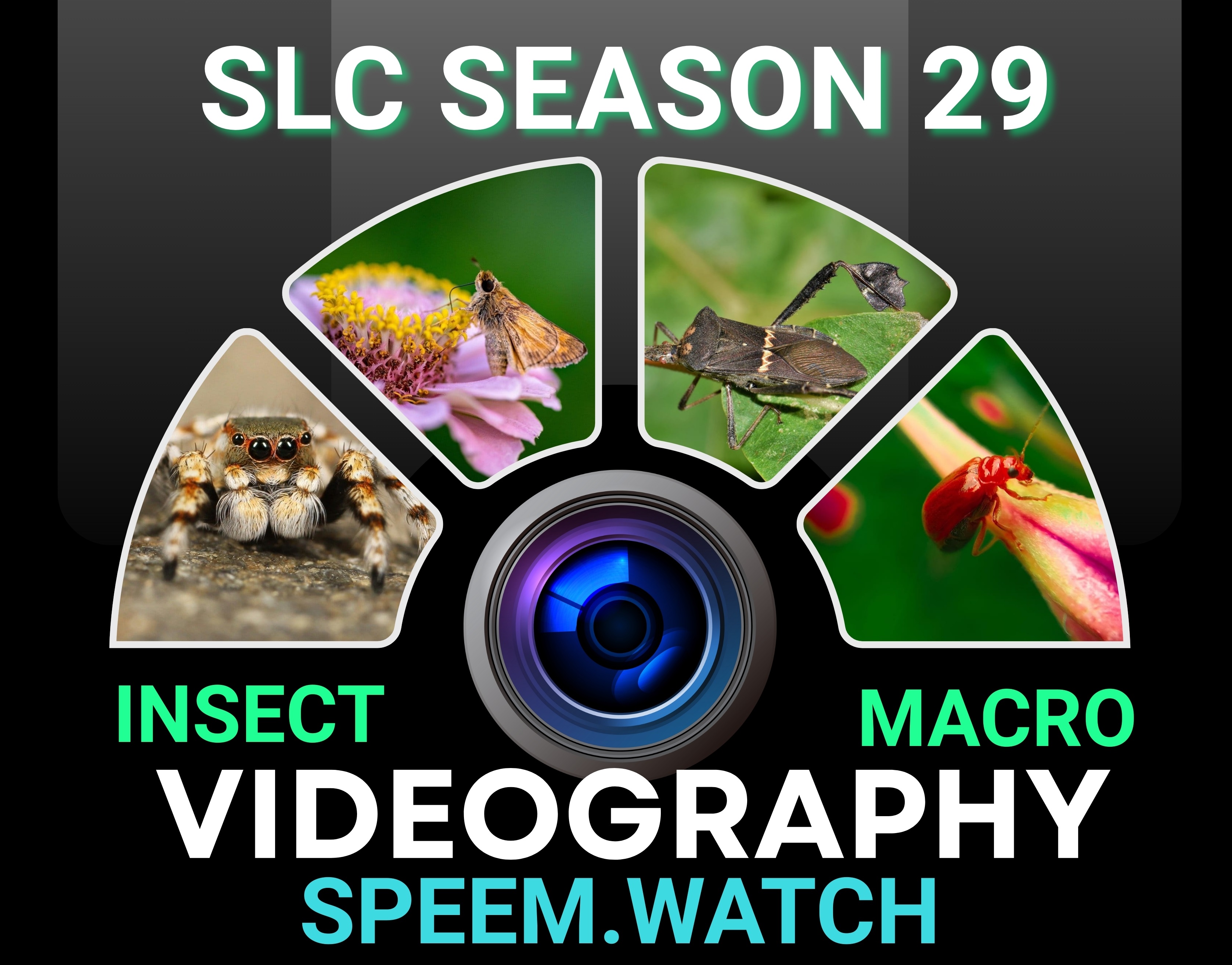 Black and White Modern Videography Editing Services Instagram Post (6).jpg