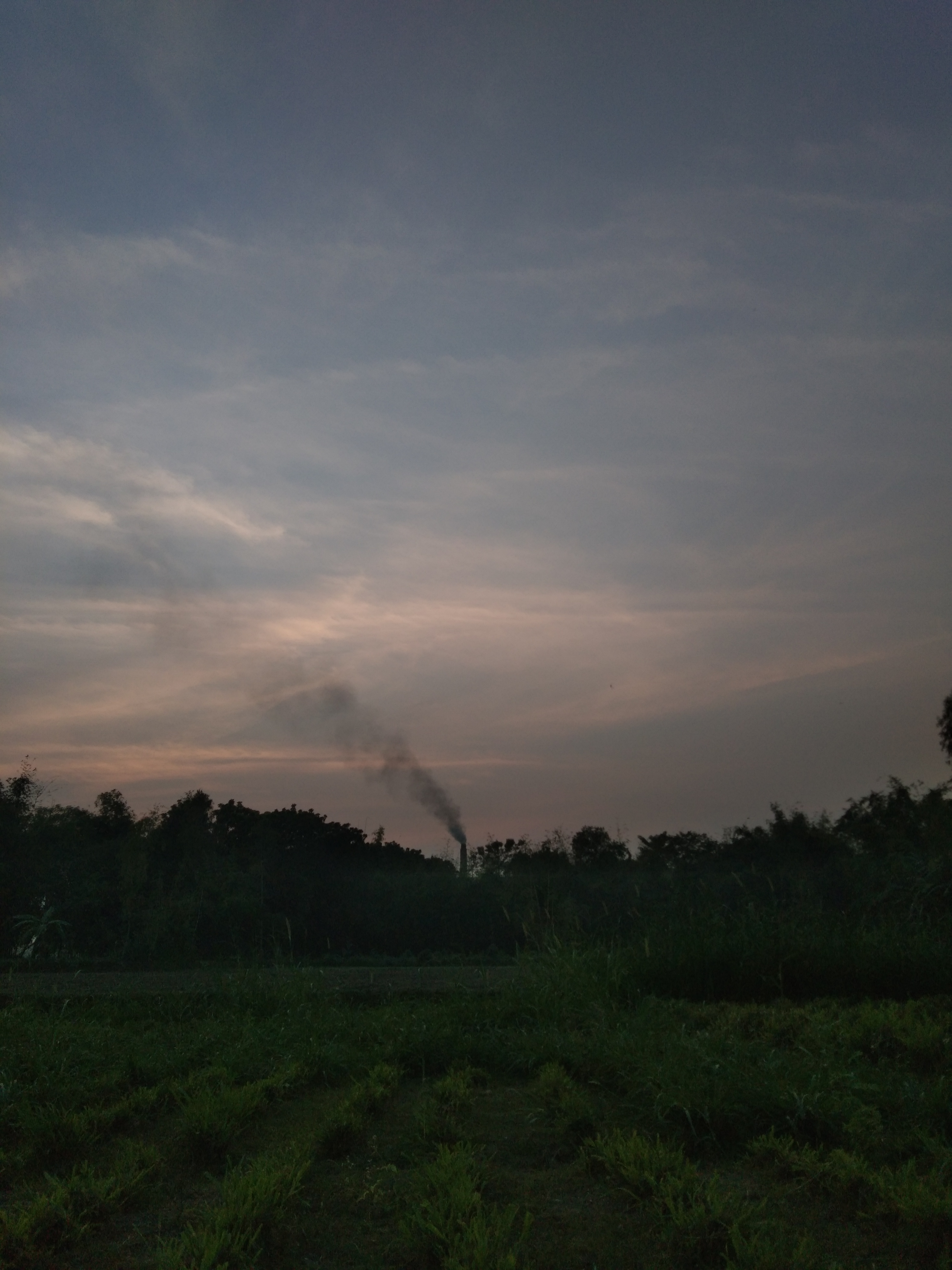 IMG_20211215_170739.jpg