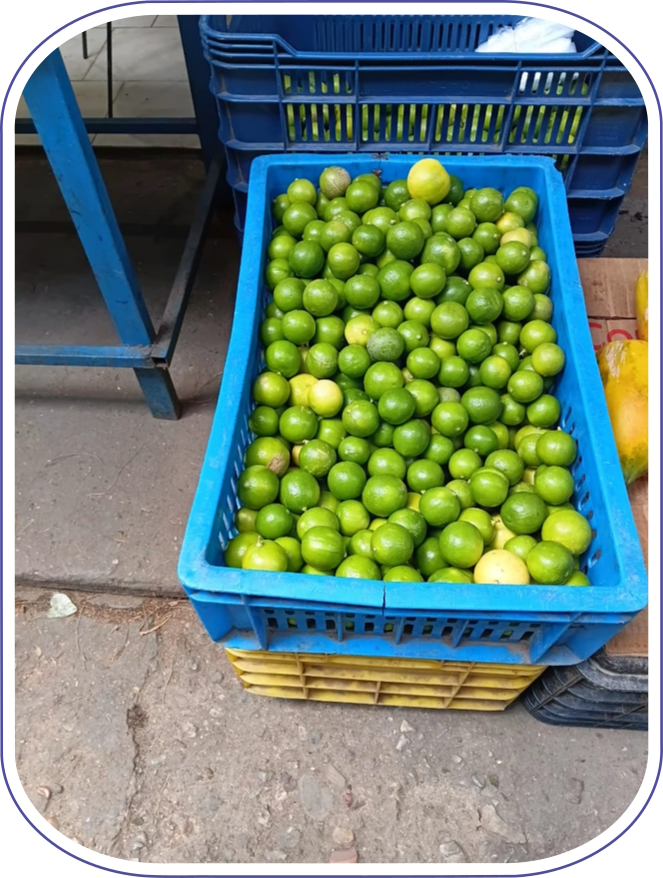 TESTNET.00154.a.solperez.yellow.jpg