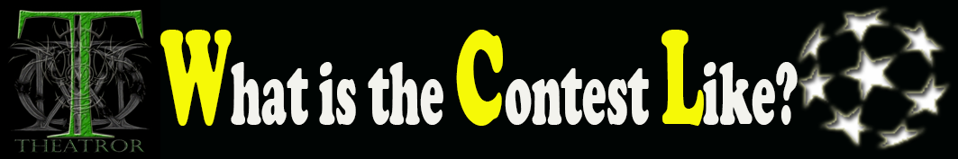 16 What is the contest like.png
