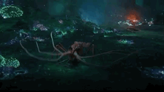 592ACEFC-60A5-4327-8068-4A9A44A7A787.gif