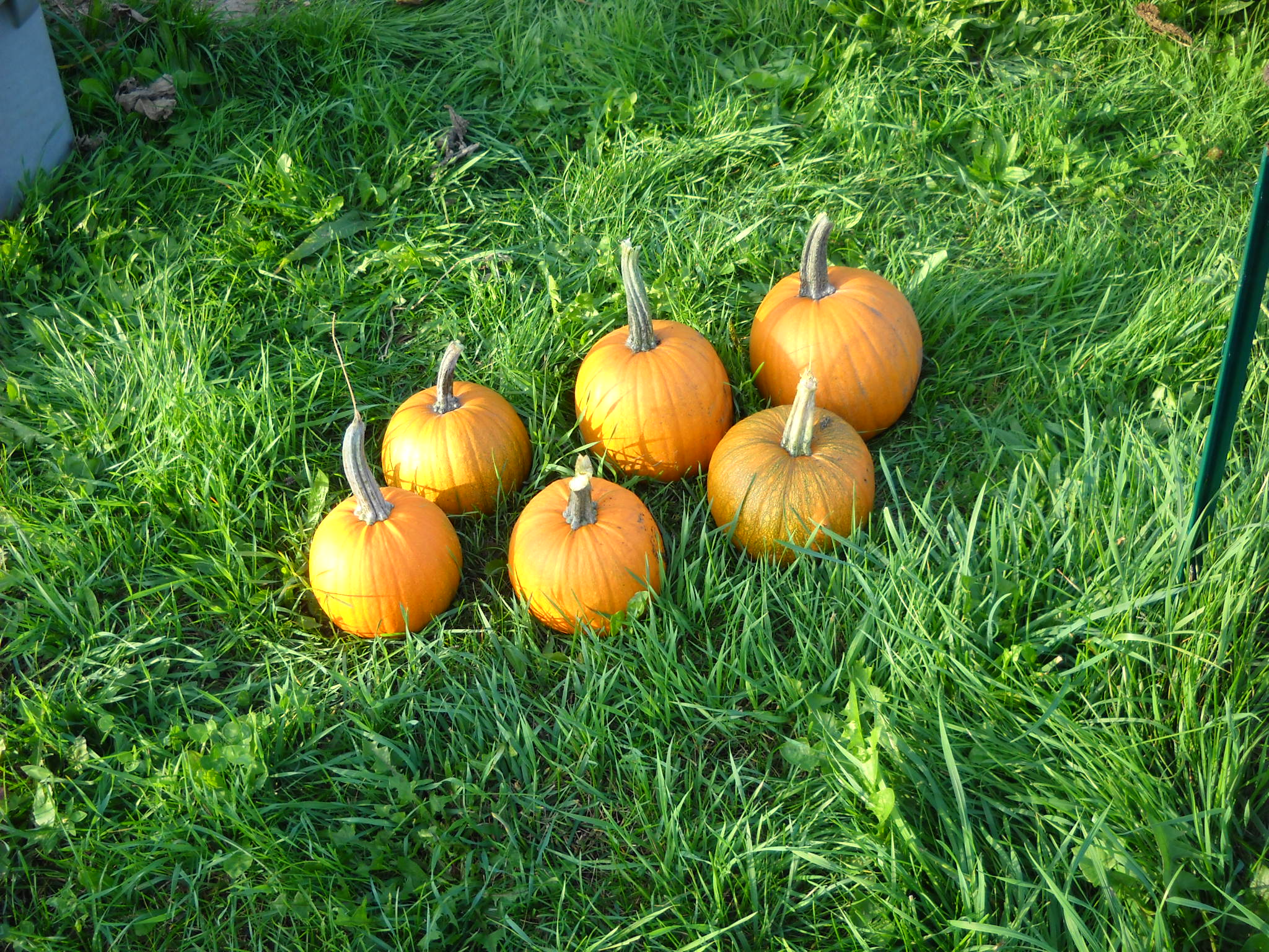 DSCN2224.JPG