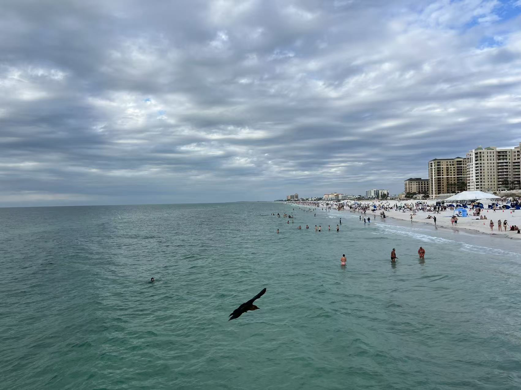 2025圣诞假期之旅 5 - Clearwater