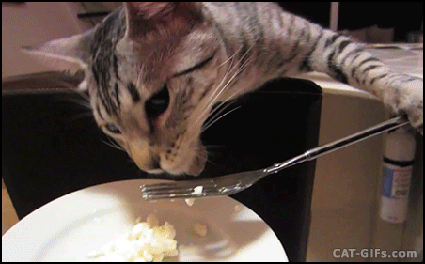 c4c7ed871e1062e5083ec8d6569cd5b1.gif