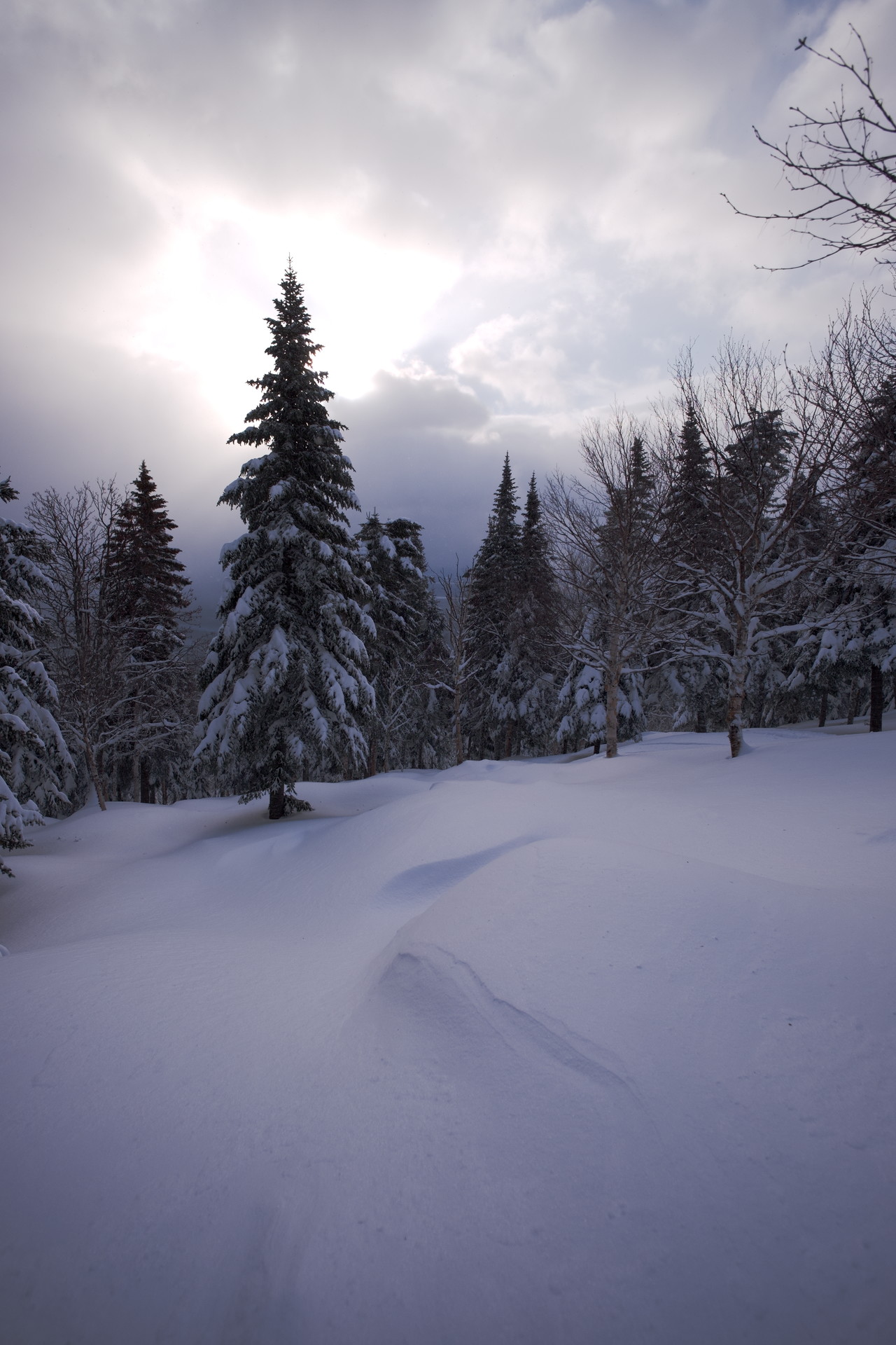 DSCF8928.jpg