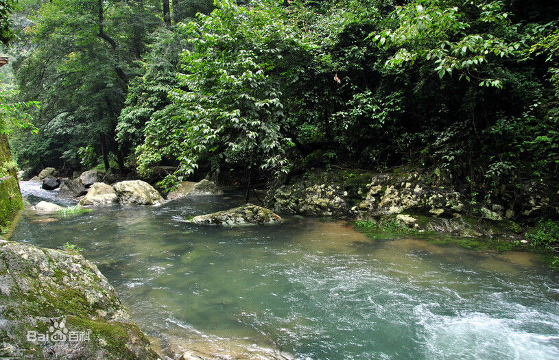 小河一掬 Holding the River Water