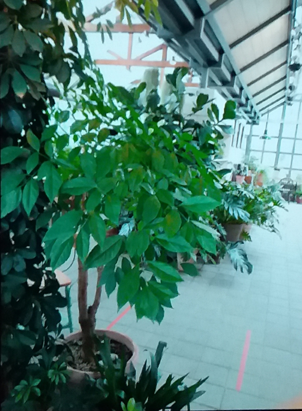 20200728_215436.jpg