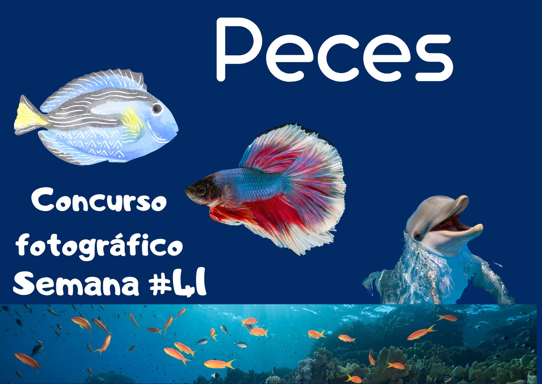 Concurso fotográfico (12).jpg