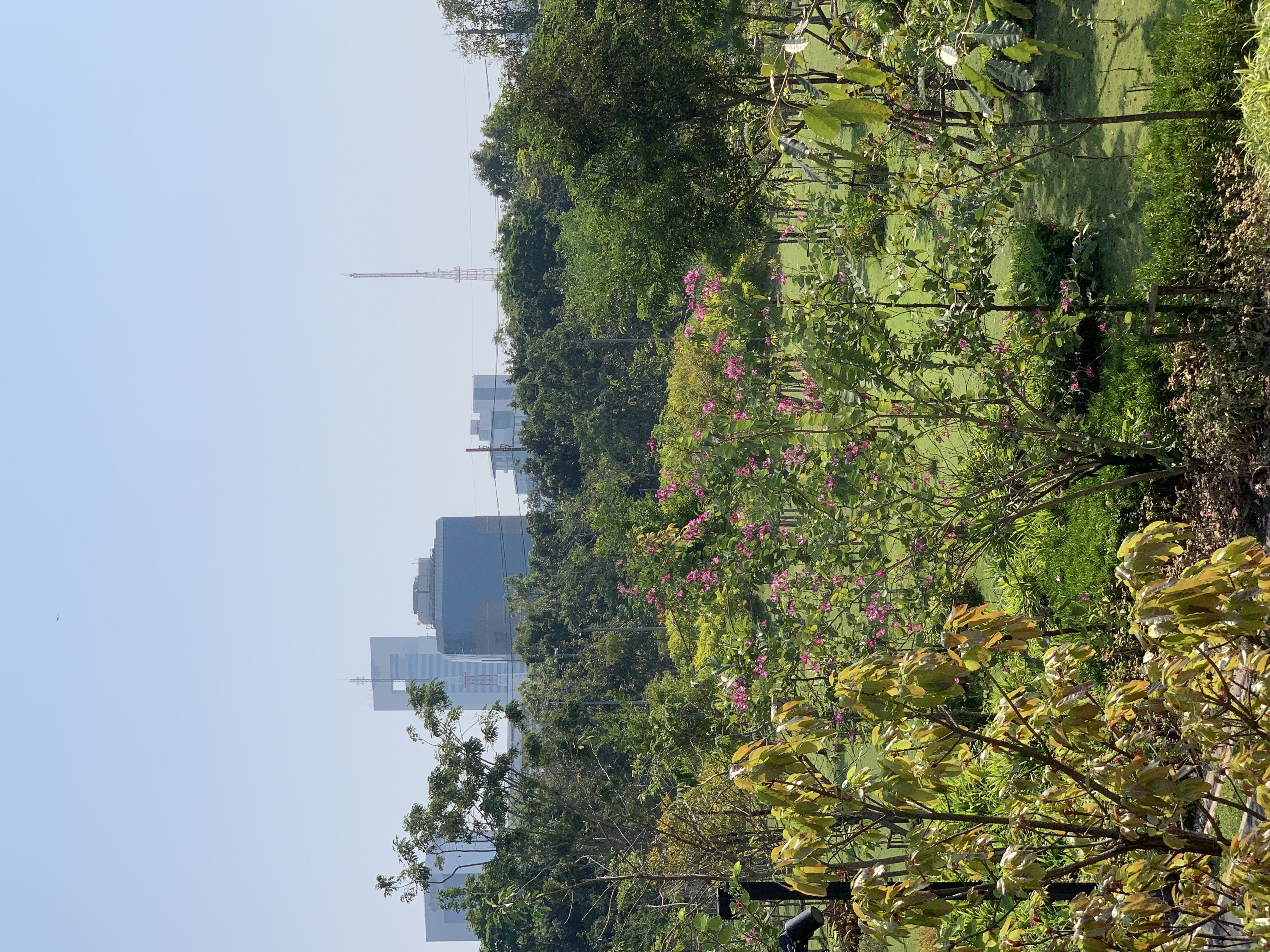 Queen Sirikit Park22.jpg