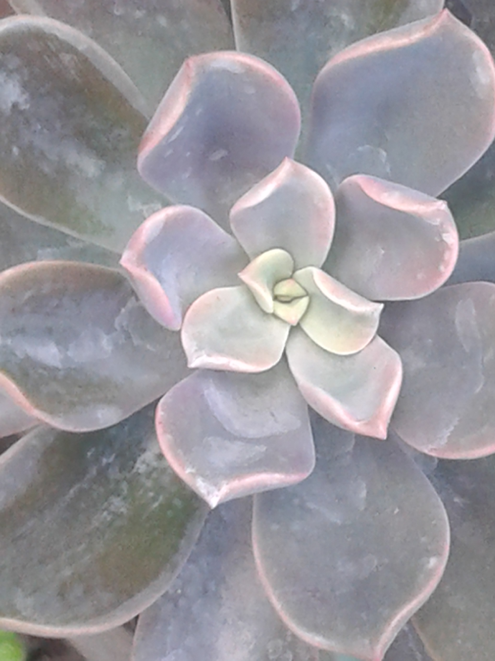 20190528_180205.jpg