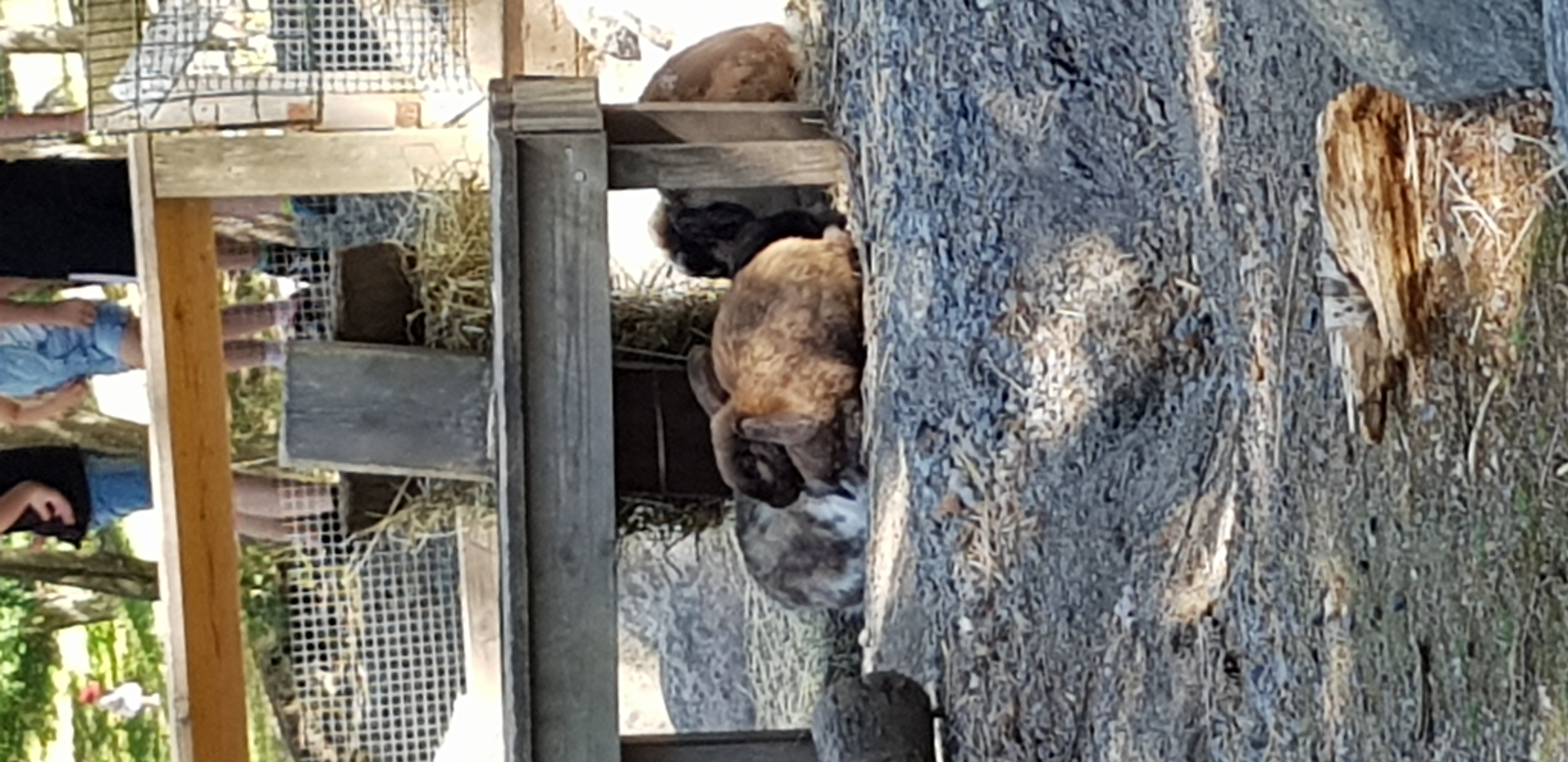 20180701_132807.jpg